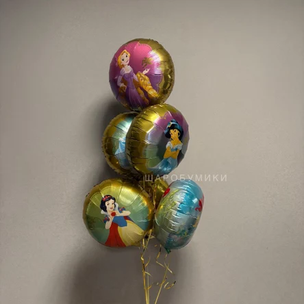 Набор Кругов Принцессы