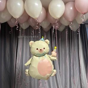 Мишка +20 шаров